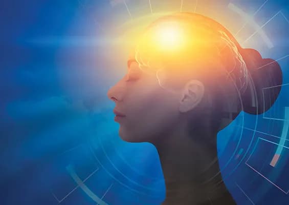 Totalna biologia jak rozwiązać konflikt i uwolnić się od bólu emocjonalnego