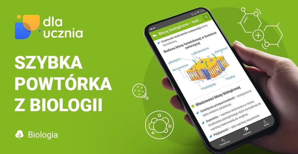 Co to jest gen w biologii? Zrozumienie kluczowych funkcji genu