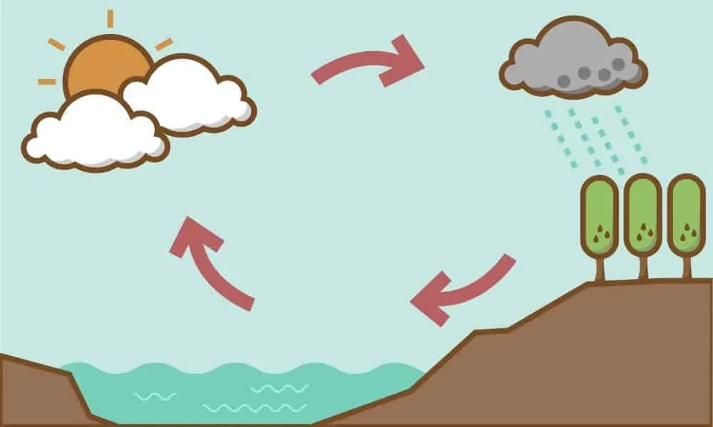 Eksperymenty z wodą w przedszkolu – ciekawe scenariusze zajęć dla dzieci