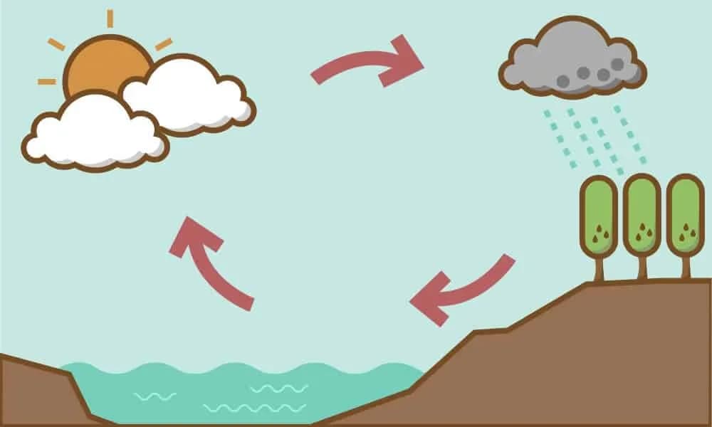 Eksperymenty z wodą w przedszkolu – ciekawe scenariusze zajęć dla dzieci