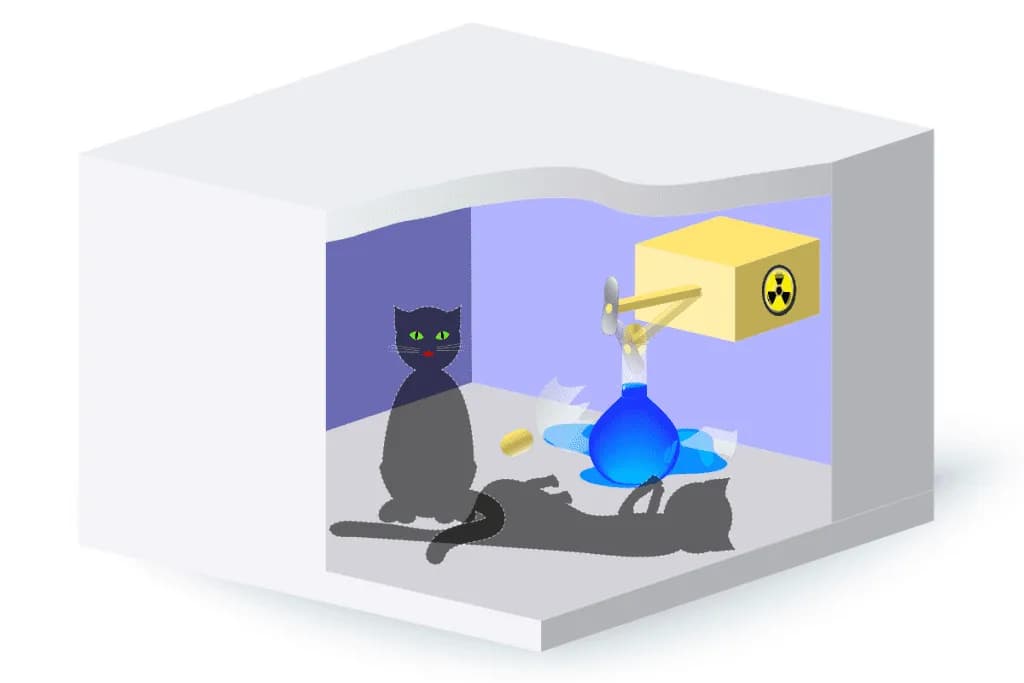 Eksperyment z kotem: jak zrozumieć paradoks Schrödingera i jego znaczenie