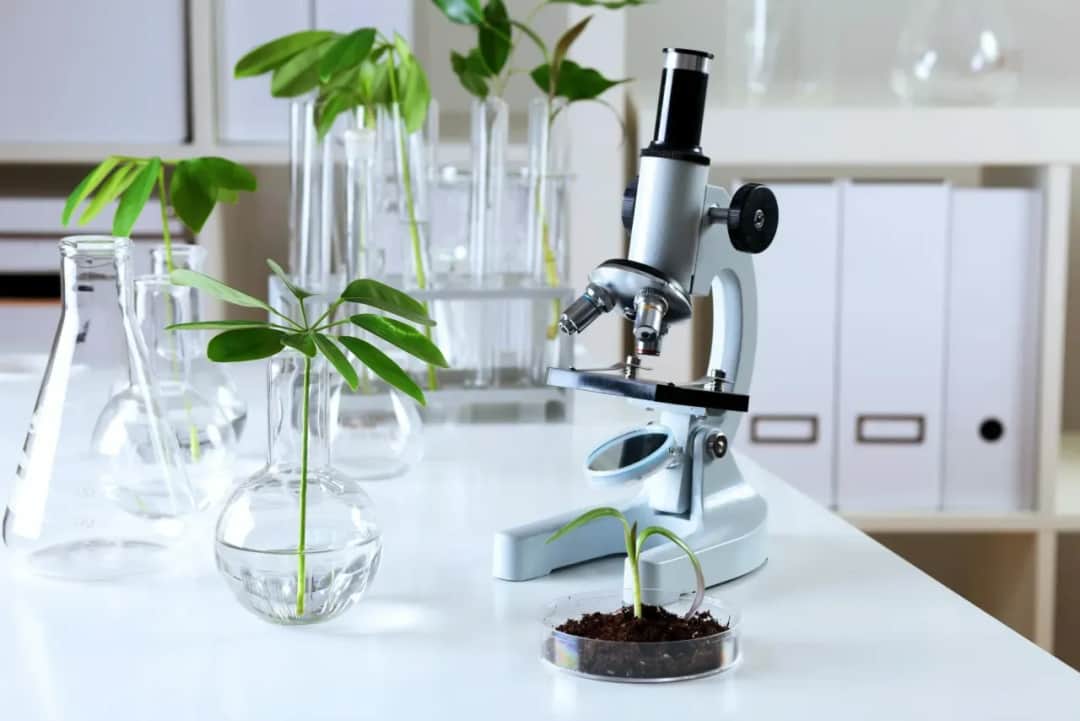 Biologia sądowa czy warto? Odkryj korzyści i możliwości kariery